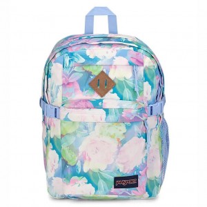 JanSport Main Campus Schoolrugzakken Rugzakken Gekleurd | FNLUI85779