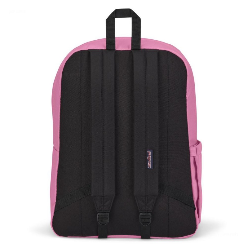 JanSport SuperBreak® Plus Schoolrugzakken Rugzakken Roze | NLDFL22324