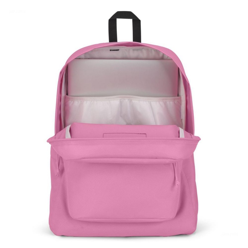 JanSport SuperBreak® Plus Schoolrugzakken Rugzakken Roze | NLDFL22324